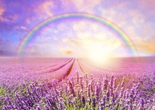 Lavender Field Scenery Vinyl Backdrop Sunrise Rainbow Background Studio Props