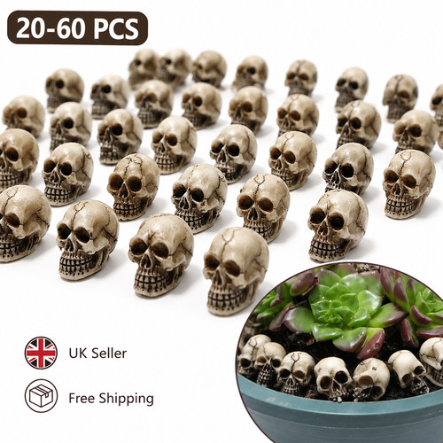 60pcs mini decorative skull - 20-60pcs,