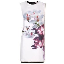 Women’s Dress Ted Baker ‘Amiro’ Nude Pink Ethereal Posie Tunic US 4 Size