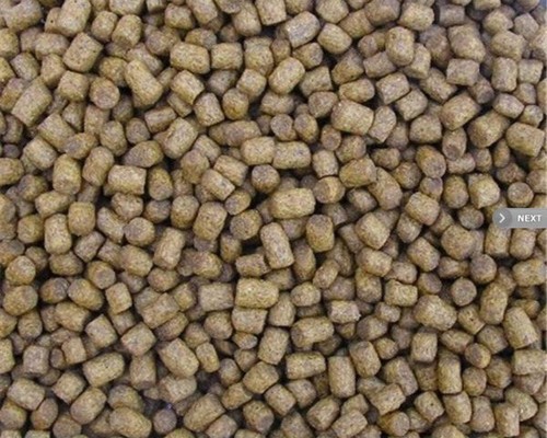 Skretting 6mm standard