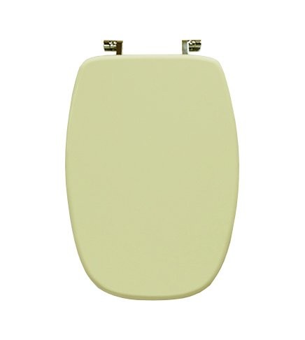 High quality polyester - , vase