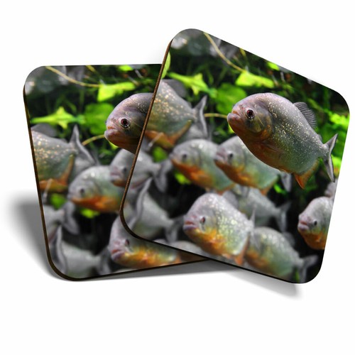 Coasters aquarium - -,