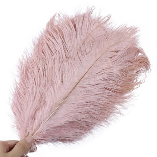 10pcs large ostrich feathers - 10pcs,