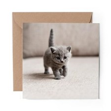 1 x Blank Greeting Card