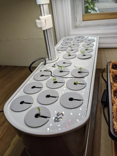 Aerogarden seed starter tray - starter,