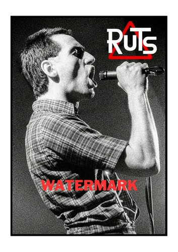 The ruts poster print - the,