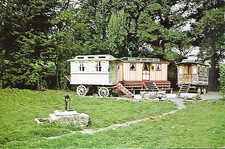 St. Keverne, Cornwall - Gypsy caravans at Tregellast Barton - postcard c.1960s