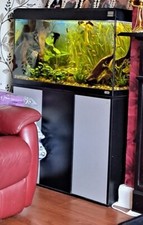 fish tank