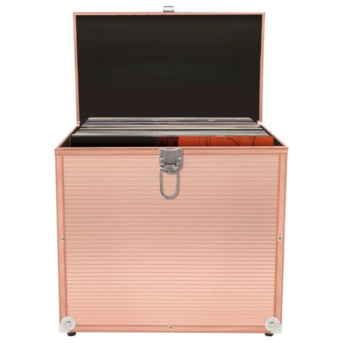 Vinyl records storage - records, case