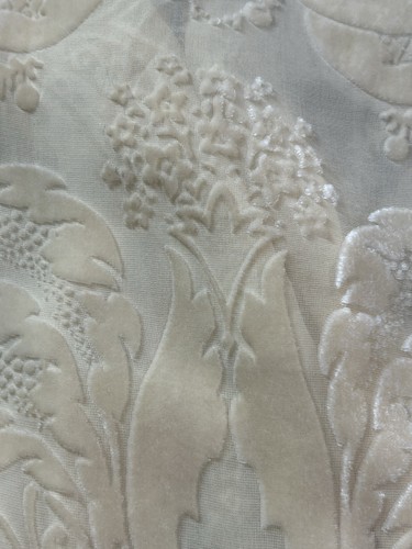 Cream silk devour - , velvet