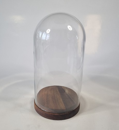 Ikea glass display dome - display, bell