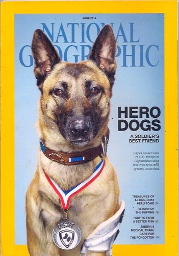 National geographic june - national, geographic-june