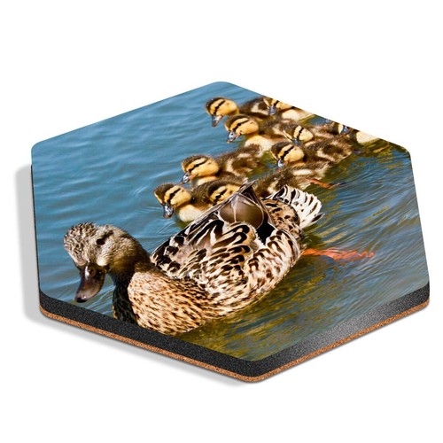 Hexagon mdf coaster - mdf, mallard