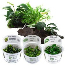 Tropica Live Aquarium Plants