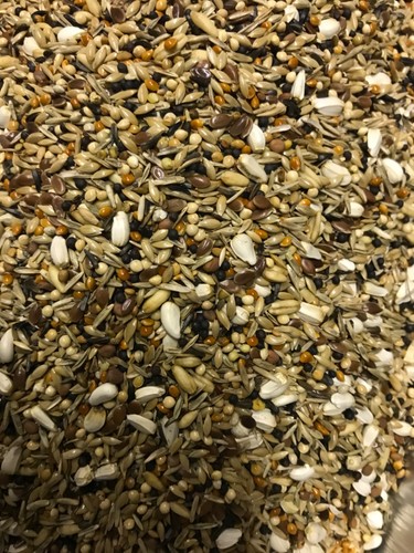 Bullfinch seed mix - seed, premium