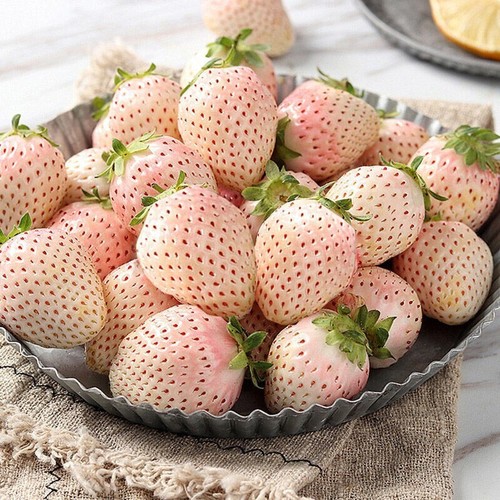 100 white strawberry - 100+white, seeds