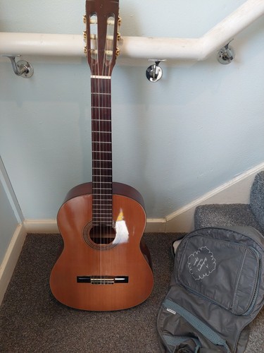 Epiphone gibson c40 - gibson,