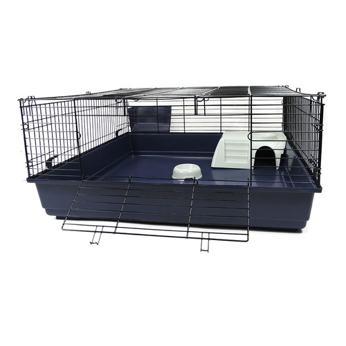 Rabbit guinea pig large indoor - guinea,