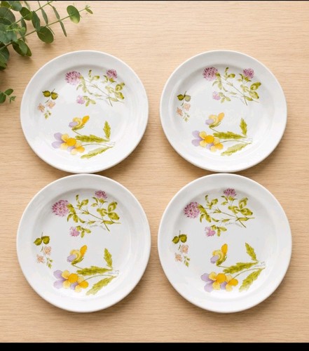 Royal worcester palissy meadow - worcester,