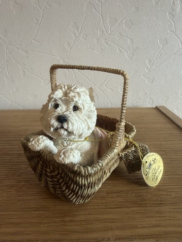 West highland terrier westie - highland,