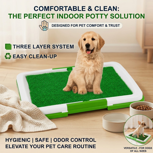 Puppy toilet training pad tray - toilet,