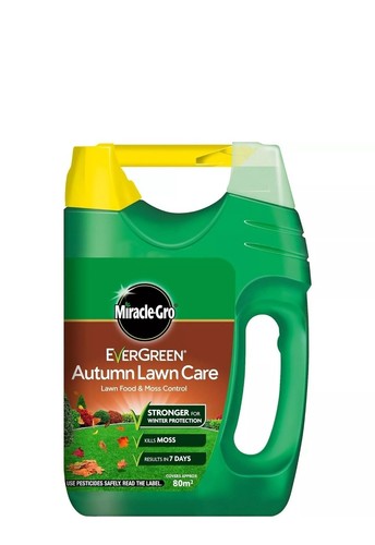 Evergreen autumn lawn care - autumn,