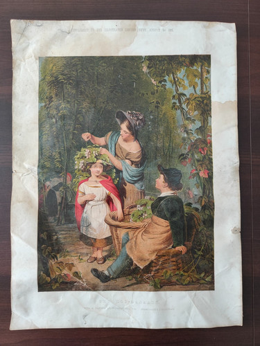 Antique orig colour -  antique,