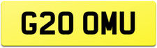 GROOMING VAN NUMBER PLATE G20