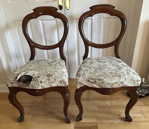 Victorian balloon back dining - balloon,