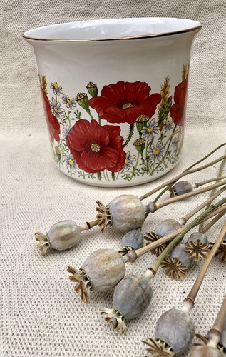 Vintage maryleigh pottery - vintage,