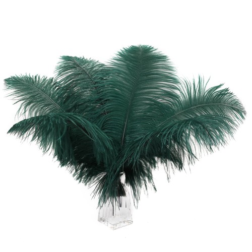 Blackish green ostrich - blackish,