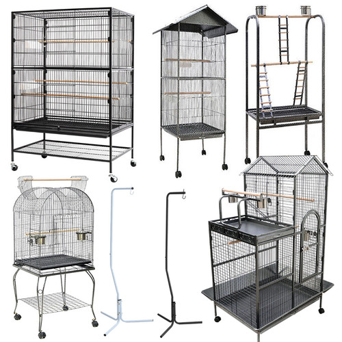 Large bird cage parrot - bird,