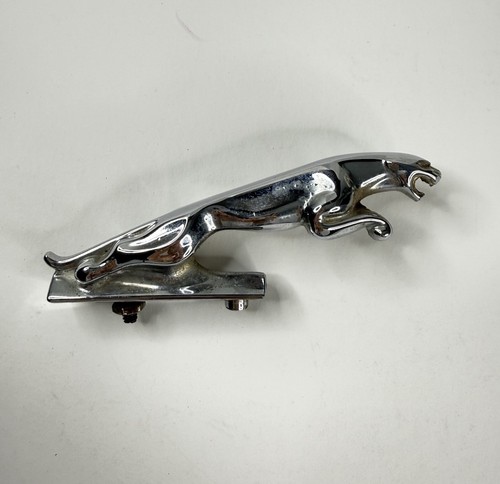 Vintage jaguar leaper hood - jaguar,