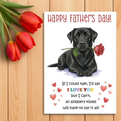 Black labrador father - black, father’s