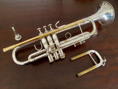 Ronnie hunt old bach - old,