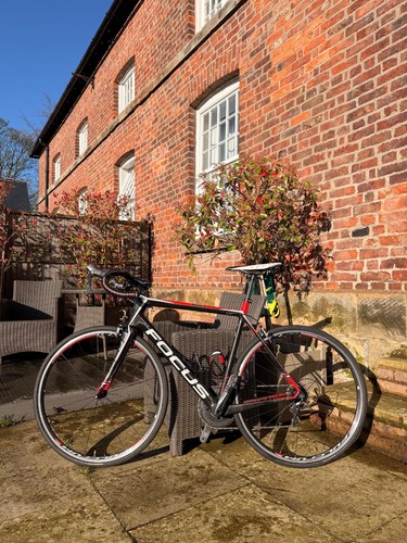 Focus cayo carbon road - , bike