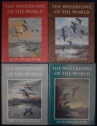 Waterfowl the world - the,