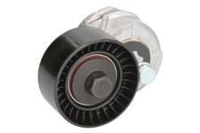 Fits INA 534 0109 20 Tensioner