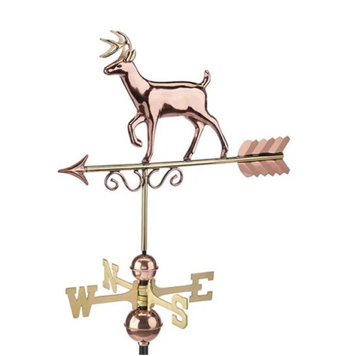 Large proud buck deer - buck,