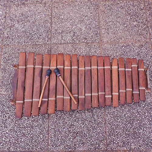 Xylophone from senegal - senegal,