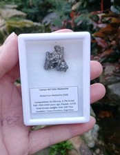 Genuine Campo Del Cielo Meteorite 15.5grams Display Case