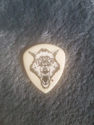 Metallica james hetfield - james, pick