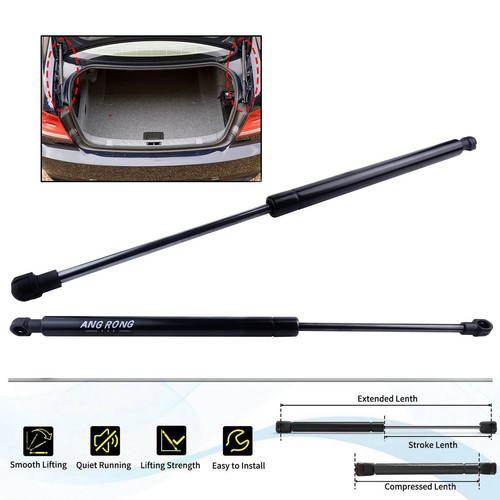 Rear boot tailgate - boot, struts