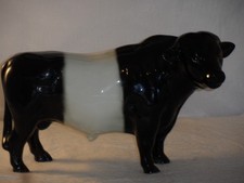 Rare Breeds Belted Galloway