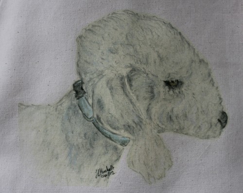 Bedlington terrier dog - terrier,