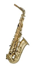 ARTEMIS A1 ALTO SAX OUTFIT -