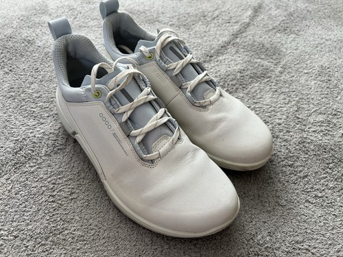 Ecco biom size - biom, h4