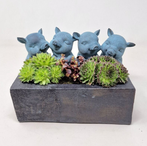 Pigs with trough planter - pigs,
