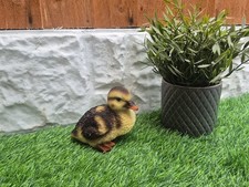 Latex Rubber Mould To Make