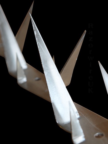 Wall spike fence - spike, 1m